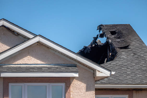 Licensed Fire Damage Removal service in Woodville, FL - Fire Damage Biloxi